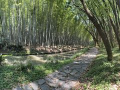 -同里国家湿地公园