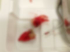 -上海市徐汇区口腔医院