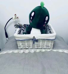 -杉惠素颜美妆皮肤管理中心