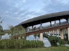 -眉山湿地公园(东坡区)