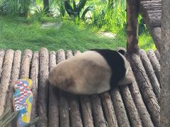 -大连森林动物园