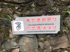 -都江堰中华大熊猫苑