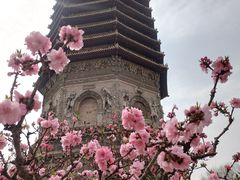 -玲珑塔公园
