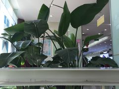 -中国电信(四川北路营业厅)