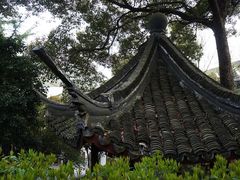 -上海佘山国家森林公园西佘山园