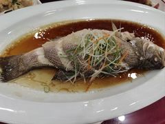 -维也纳国际酒店·苏州高铁北站相城太平店