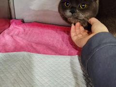 -宠颐生嘉德动物医院