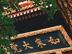 -亭林园-华藏寺