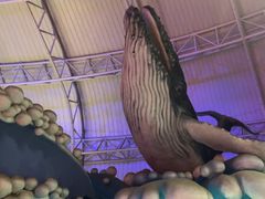 -烟台海昌鲸鲨海洋公园