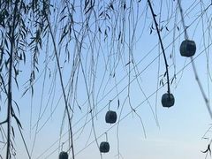 -狼牙山风景区