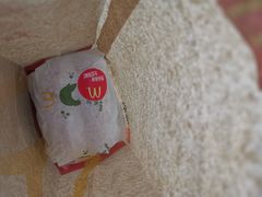 -麦当劳(石家庄乐活广场店)