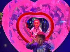 -多彩贵州城极地海洋世界