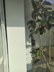 -HEYAN荷妍专业脱毛连锁机构
