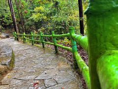 -梭布垭石林景区