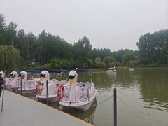 -仁和公园(顺义区)