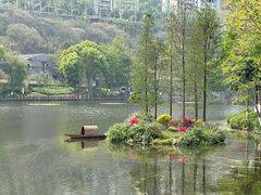 -重庆彩云湖湿地公园