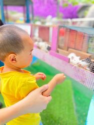 -萌宠亲子动物乐园(槐房万达店)