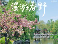 -和平公园
