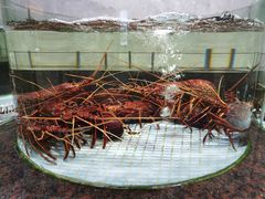 -新海利海鲜城·41年珠海老字号(夏湾店)