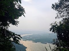 -铁山坪森林公园