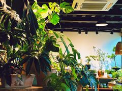 -自由生长植物工作室(深港花卉中心店)