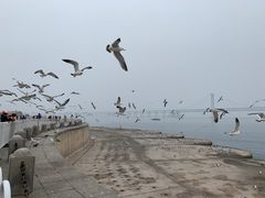 -星海广场