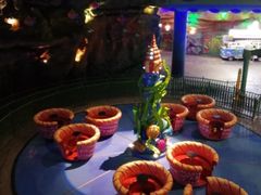 -青岛嘉年华主题乐园