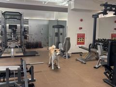 -YCHL Studios健身工作室(市二宫店)