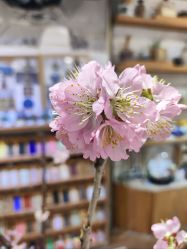 -今日陶艺(富力广场店)