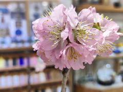 -今日陶艺(富力广场店)