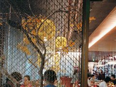 -京华烟云·北京烤鸭(领展购物广场·中关村店)