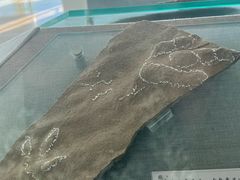 -延庆地质公园博物馆