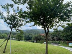 -火炉山森林公园