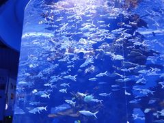 -多彩贵州城极地海洋世界