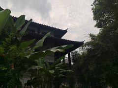 -徽园