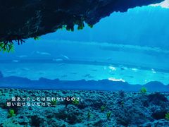 -南昌融创海世界