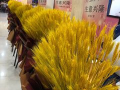 -茶百道(龙阳广场店)