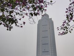 -番禺广场(市桥街道)