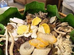 -野菌王•养生汤锅•野生菌火锅(大理漾濞路店)