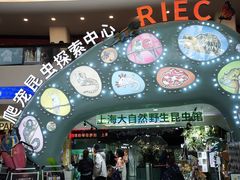 -上海大自然野生昆虫馆(东方明珠·爬宠昆虫探索中心)
