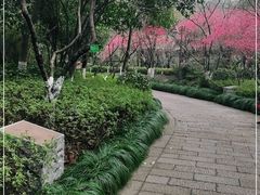 -杭州半山国家森林公园