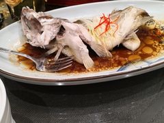 -圆顶阁西餐厅(郑州索菲特国际饭店 )