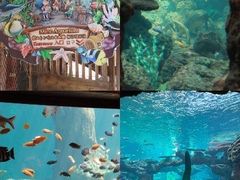 -长鹿旅游休博园