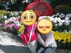 -汇龙潭