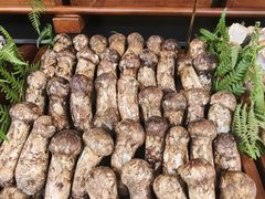 -熙楼(翠湖店)