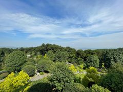 -铁山坪森林公园