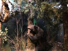 -陕西自然博物馆