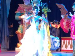 -金东尼人妖秀