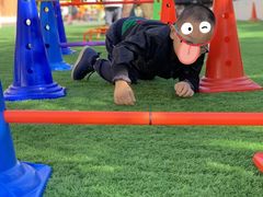 -美加国际幼儿园(四季青校区)