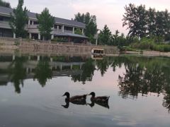 -中家鑫园温泉酒店鑫悦汤泉